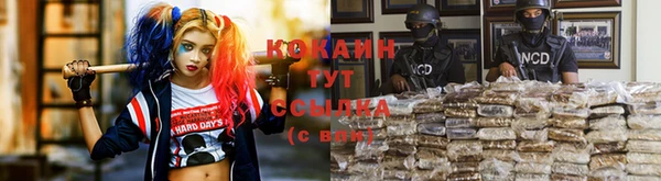 Альфа ПВП Няндома