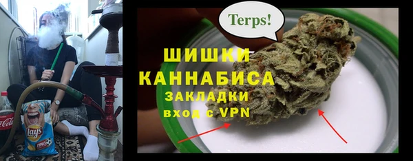 прущие грибы Нязепетровск