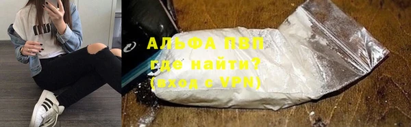 прущие грибы Вязники
