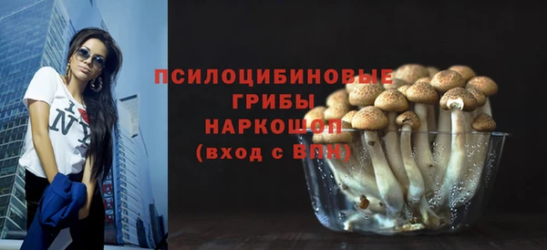 Альфа ПВП Няндома