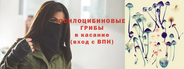 прущие грибы Нязепетровск