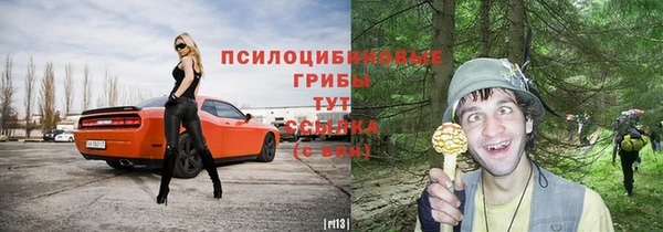 прущие грибы Нязепетровск