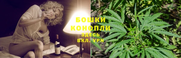 Альфа ПВП Няндома