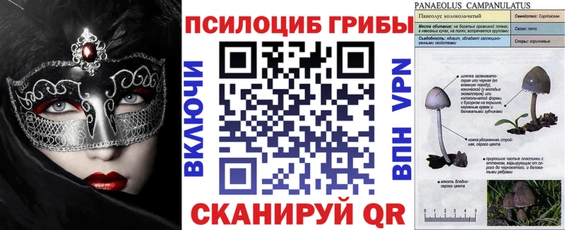 купить наркотики сайты  Орлов  гидра зеркало  Галлюциногенные грибы Psilocybe 