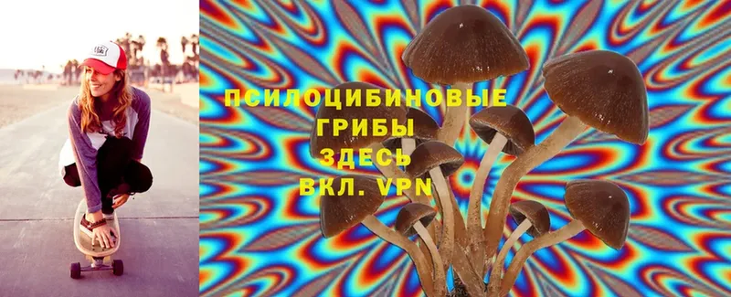 Псилоцибиновые грибы Magic Shrooms  Орлов 